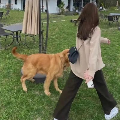 致那些得不到保护的人